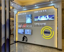 致地·昭華府—現(xiàn)場(chǎng)實(shí)景6